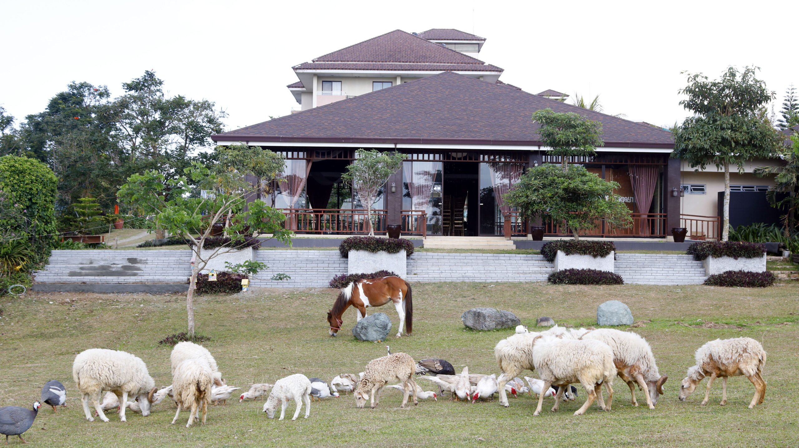 Farm