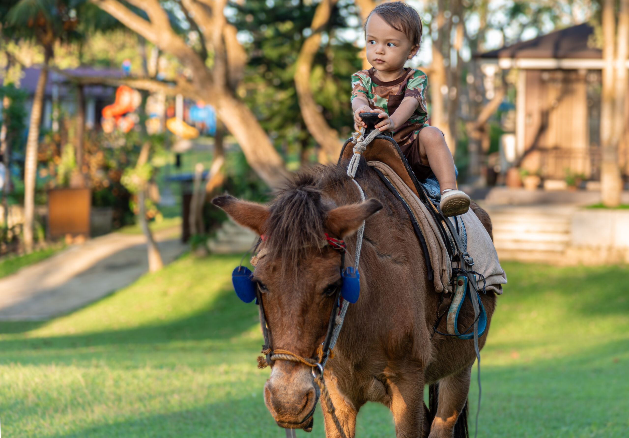 Horseback riding